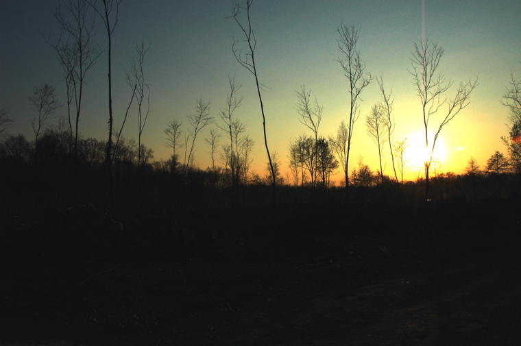 via L. Enaudi barza meglio villette a schiera che il tramonto